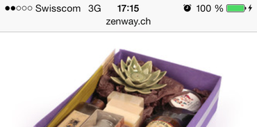 Zenway Mobile - Article