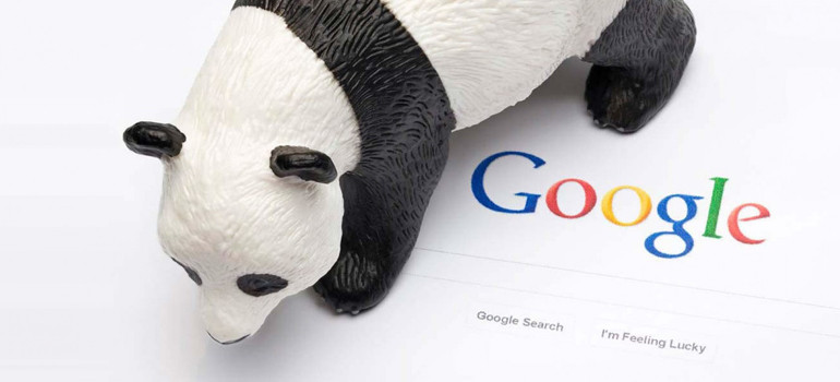 Retour de la mascotte de Google : Panda