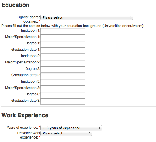 Formulaire pour un CV créé avec IceCube2.Net