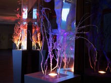 Déco de Noël 2013