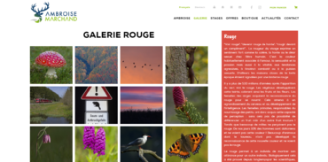 ambroisemarchand.ch - galerie rouge