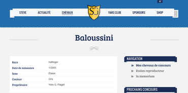 Baloussini