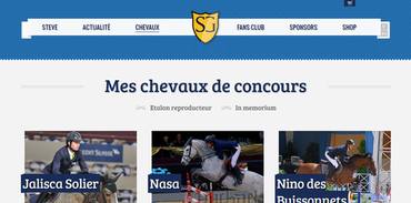 Mes chevaux de concours