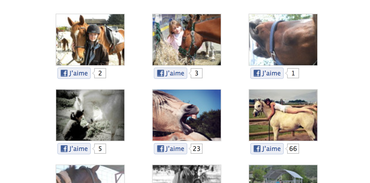 Liste des photos du concours Facebook