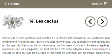 Jurassica - Cactus