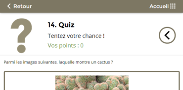 Jurassica - Quizz