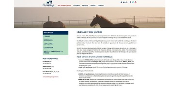 Élevage Magic - Histoire