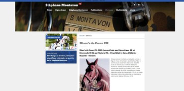 Description de l'image