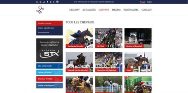 Grégory Wathelet - Chevaux