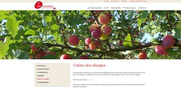 Damassine AOP - Cahier des charges 