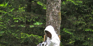 Dimitry dans les arbres