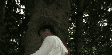 Dimitry dans les arbres