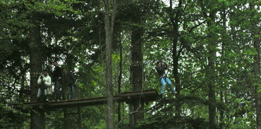 On saute d'arbre en arbre