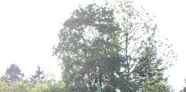 Sur le green du Swin Golf de La Caquerelle