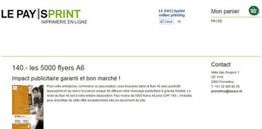 5000 Flyers - LE PAYSprint