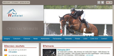 Aperçu site Gregory Wathelet