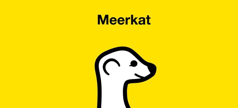 Meerkat : le nouvel outil pour faire du streaming