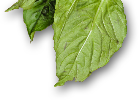 Solutions e-commerce